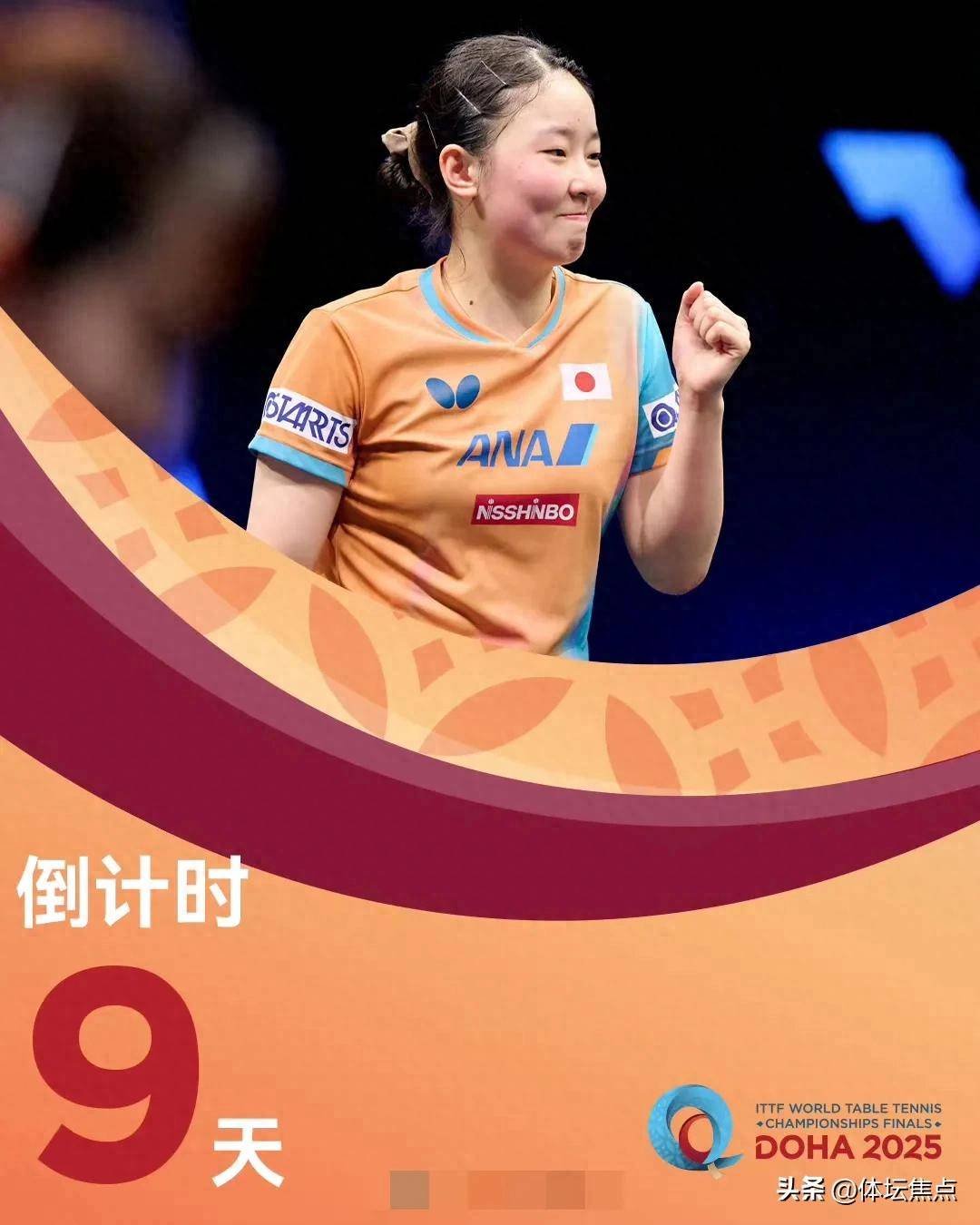 这不仅证明 这不仅证明